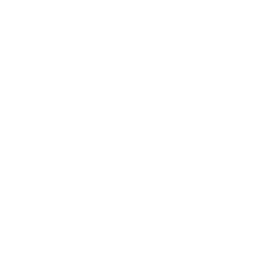 Wire Brush Icon